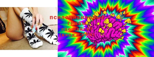 стафф Киренск