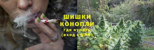 первитин Карпинск