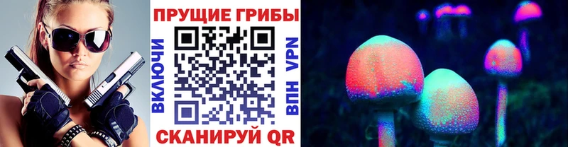 Псилоцибиновые грибы Cubensis  сколько стоит  Коммунар 