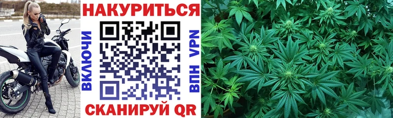 Марихуана гибрид  Коммунар 